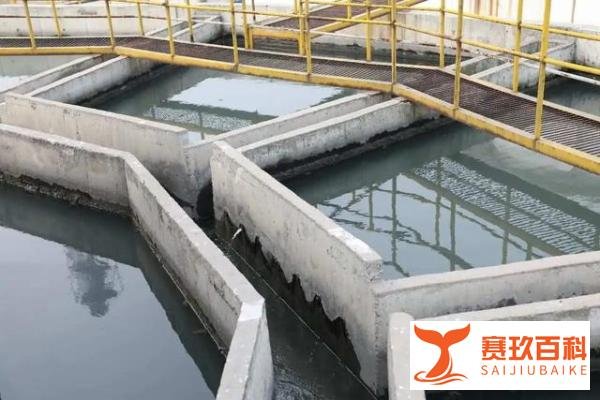 生活用水竟是中水？北漂情侣租房住了半年才发现：身体明显不适！