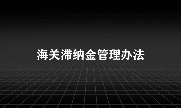海关滞纳金管理办法