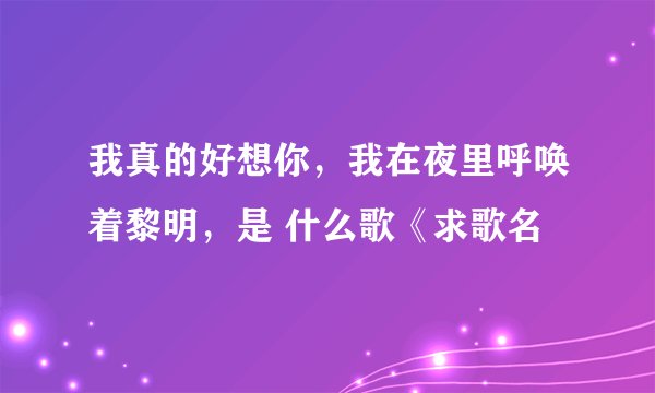 我真的好想你，我在夜里呼唤着黎明，是 什么歌《求歌名