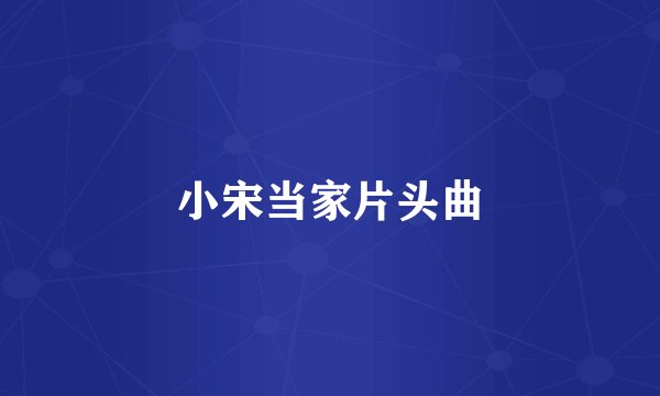 小宋当家片头曲