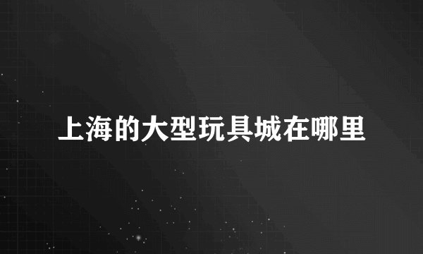 上海的大型玩具城在哪里