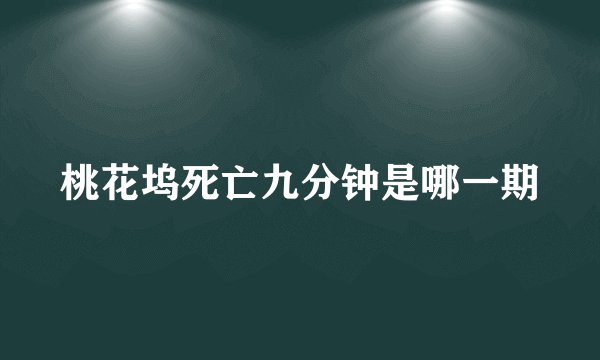 桃花坞死亡九分钟是哪一期