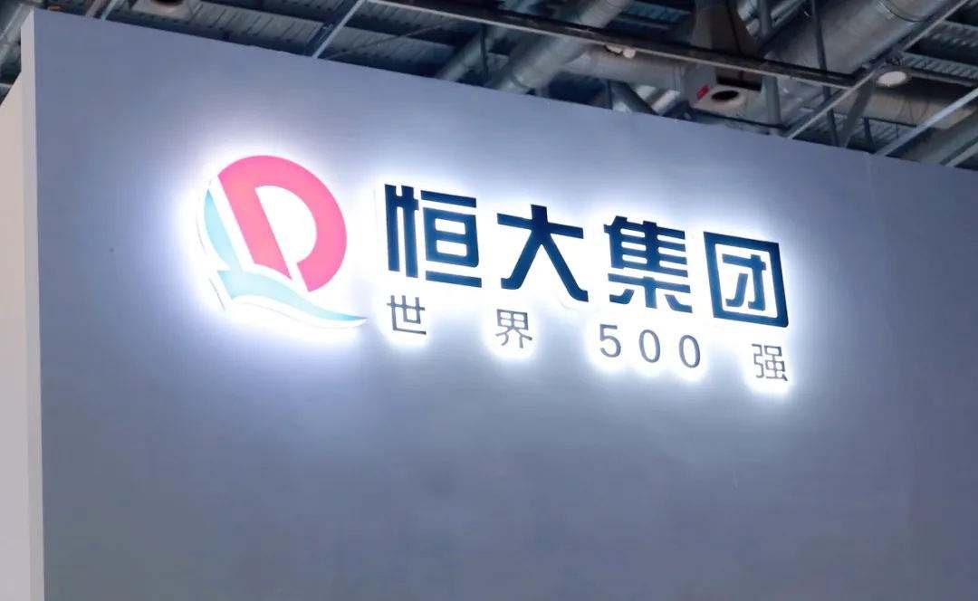 恒大海口多地块被政府无偿回收，被回收的原因是什么？