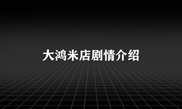 大鸿米店剧情介绍