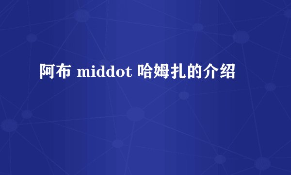 阿布 middot 哈姆扎的介绍