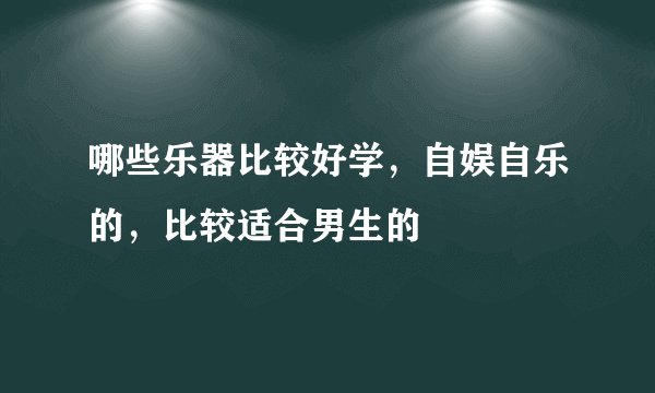 哪些乐器比较好学，自娱自乐的，比较适合男生的
