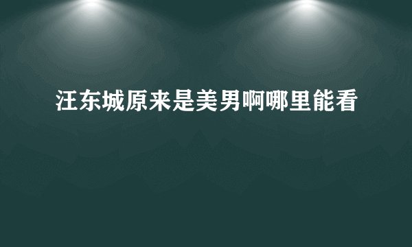 汪东城原来是美男啊哪里能看