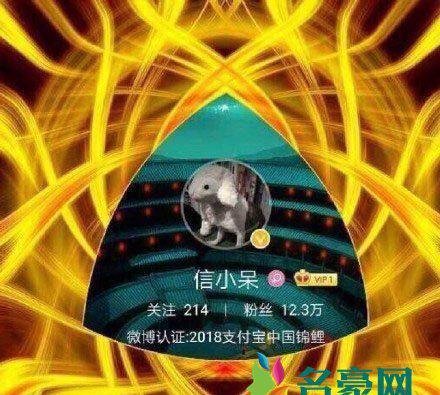 中国锦鲤是什么梗什么意思 中国锦鲤出处在哪