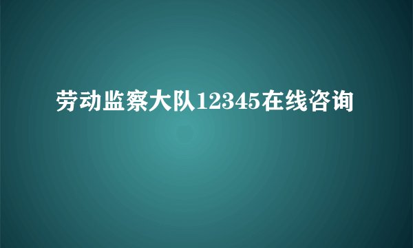 劳动监察大队12345在线咨询