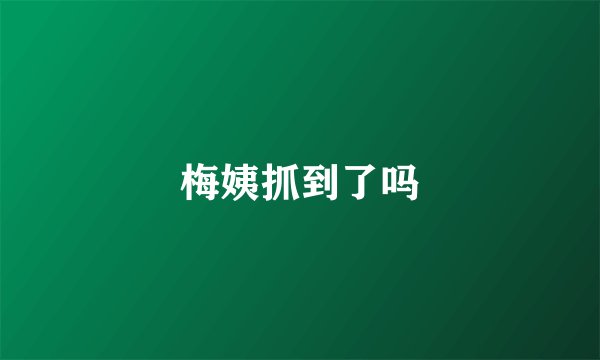 梅姨抓到了吗