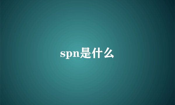 spn是什么