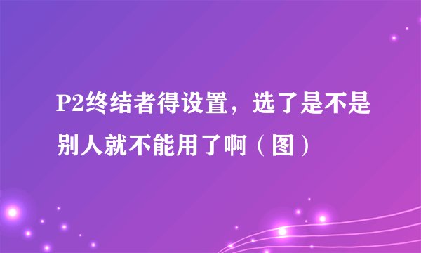 P2终结者得设置，选了是不是别人就不能用了啊（图）
