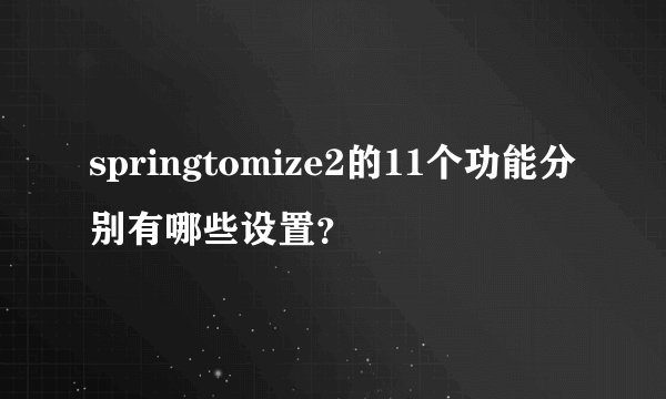 springtomize2的11个功能分别有哪些设置？