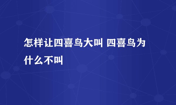 怎样让四喜鸟大叫 四喜鸟为什么不叫