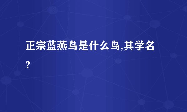 正宗蓝燕鸟是什么鸟,其学名？