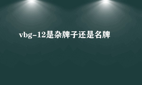 vbg-12是杂牌子还是名牌