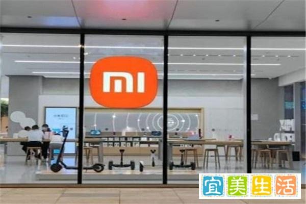 小米港股股价为何暴跌？