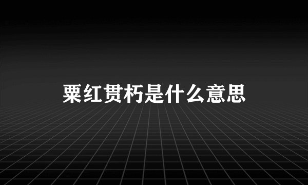 粟红贯朽是什么意思