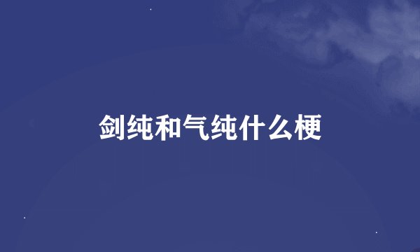 剑纯和气纯什么梗