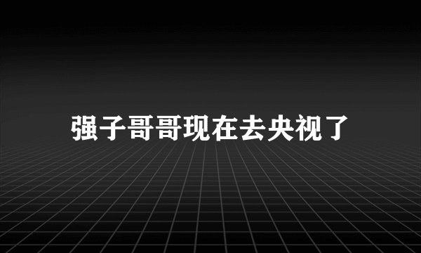 强子哥哥现在去央视了