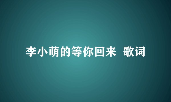 李小萌的等你回来  歌词