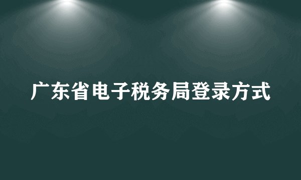 广东省电子税务局登录方式