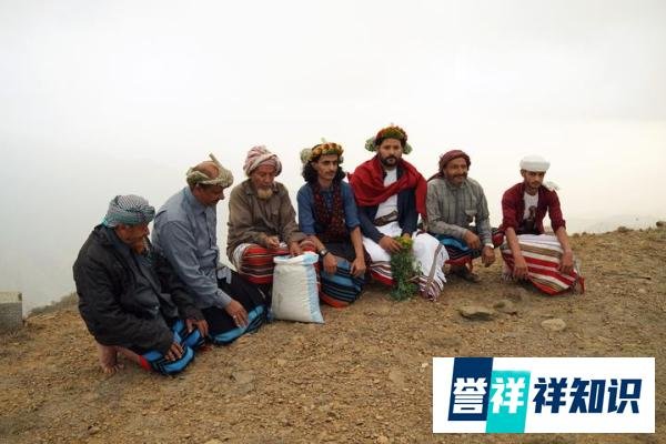 Coffee Cultivation and Traditional Culture