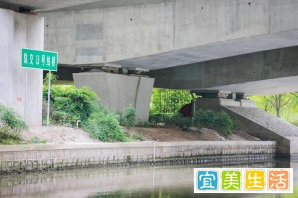 【党旗飘扬在一线】上海公安持续查找安置在沪滞留人员