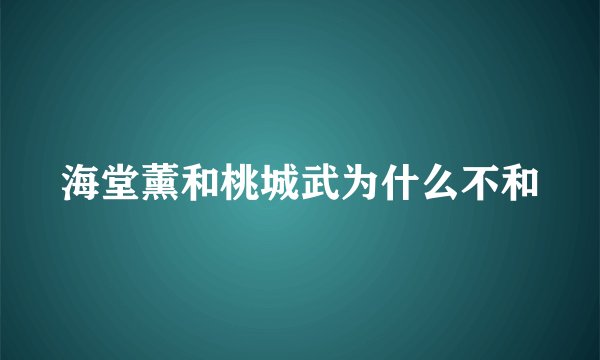 海堂薰和桃城武为什么不和
