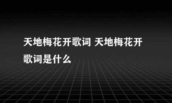 天地梅花开歌词 天地梅花开歌词是什么