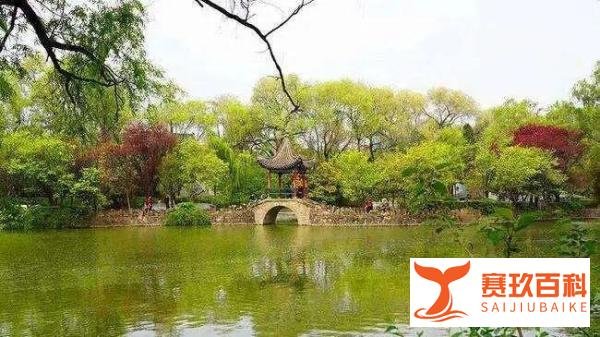 东坡私房菜——东坡凉粉