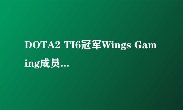 DOTA2 TI6冠军Wings Gaming成员现役情况