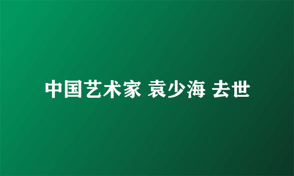 中国艺术家 袁少海 去世