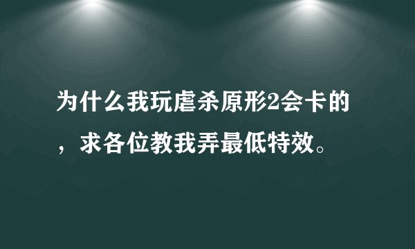 为什么我玩虐杀原形2会卡的，求各位教我弄最低特效。