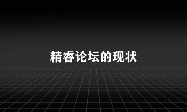精睿论坛的现状