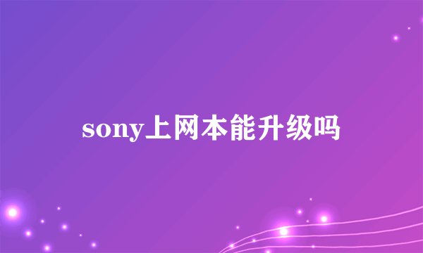 sony上网本能升级吗