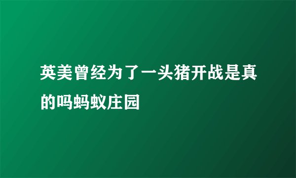 英美曾经为了一头猪开战是真的吗蚂蚁庄园