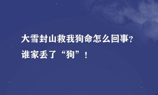 大雪封山救我狗命怎么回事？谁家丢了“狗”！