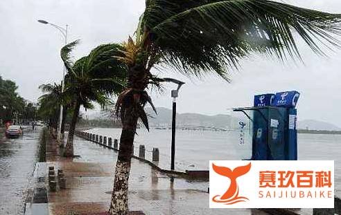 1号台风黄蜂生成路径图是怎么样的？