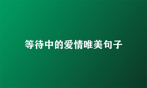 等待中的爱情唯美句子