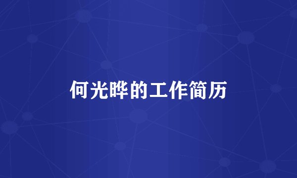何光晔的工作简历