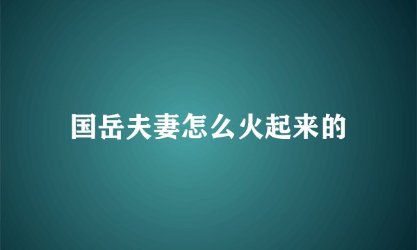 国岳夫妻怎么火起来的