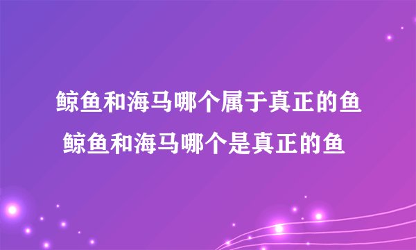 鲸鱼和海马哪个属于真正的鱼 鲸鱼和海马哪个是真正的鱼