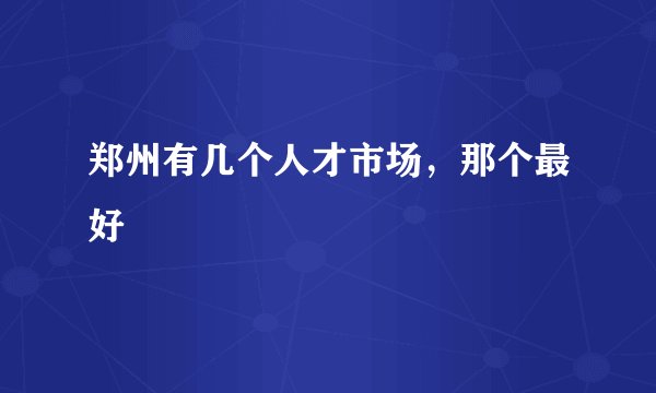 郑州有几个人才市场，那个最好