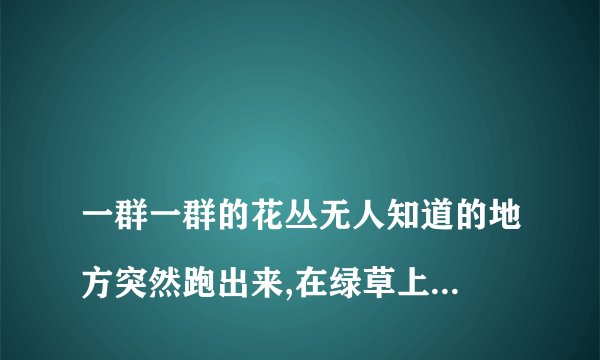 
一群一群的花丛无人知道的地方突然跑出来,在绿草上跳舞，狂欢。读这句话后脑海中画面

