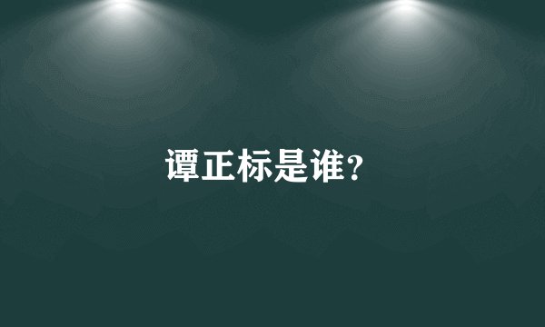 谭正标是谁？