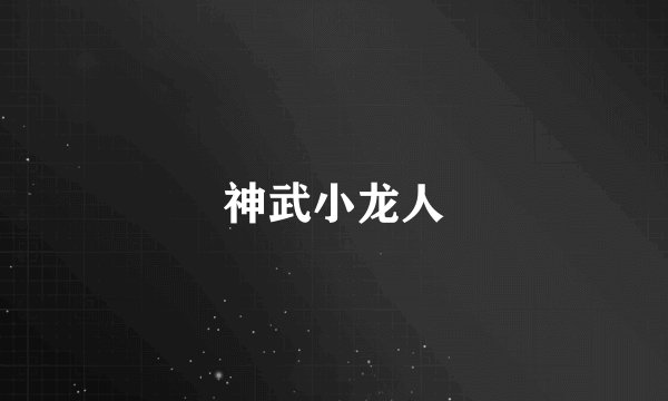 神武小龙人