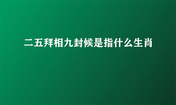 二五拜相九封候是指什么生肖