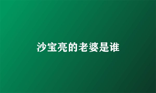 沙宝亮的老婆是谁