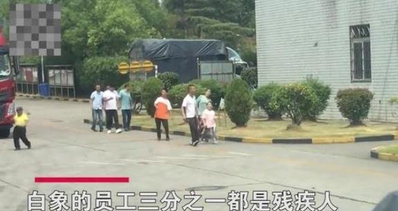 白象大量招聘残疾人背后的原因究竟是什么?